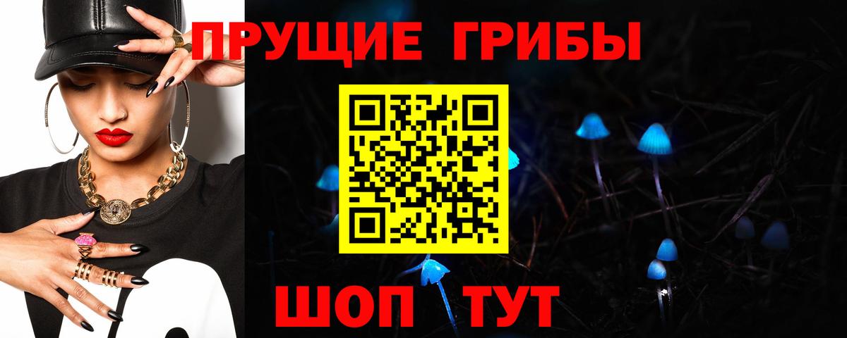 Орехово-Зуево  Псилоцибиновые грибы Psilocybine cubensis  сколько стоит  Вход с VPN  Псилоцибиновые грибы Psilocybe 